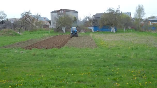 Viejo Tractor Azul Cultiva Tierra Para Plantar Cultivos Llenando Suelo — Vídeos de Stock