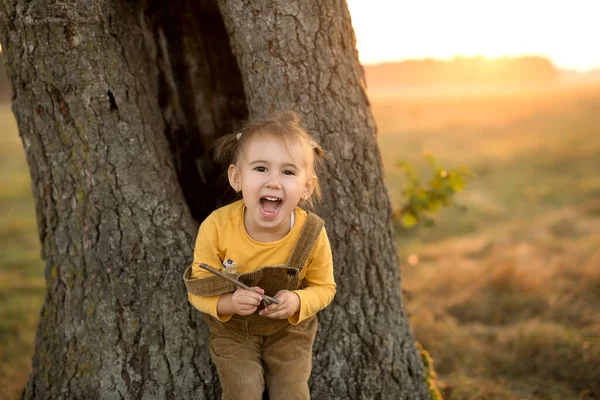 Emocionální Dítě Velkého Kmene Stromu Při Západu Slunce Hlasitý Dětský — Stock fotografie