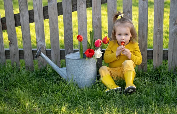 Little Girl Enjoys Licking Red Lollipop While Sitting Fence Village — Stok Foto