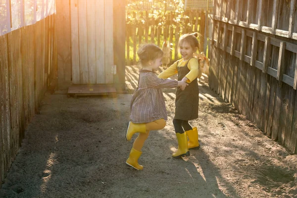Дві Маленькі Дівчата Кружляють Руками Фермі Лякають Курей Діти Розважаються — стокове фото
