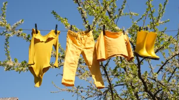 子供服は洗濯後に衣類や乾燥にかかっています 青空に向かって鮮やかな黄色の服と満開の梅の木 ラバーウェットブーツは太陽の下で乾燥します 風になびく服 — ストック動画