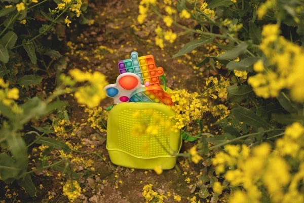Rapeseed Field Ground Backpack Filled Children Toys Develop Fine Motor — Stock Photo, Image