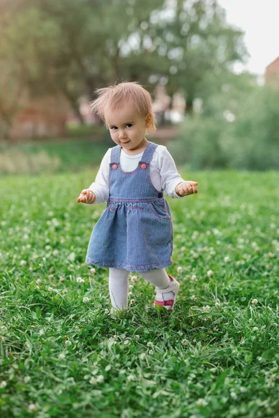 Маленька Дівчинка Гуляє Траві Піднятими Руками Трохи Подивитися Обличчя Дитина — стокове фото