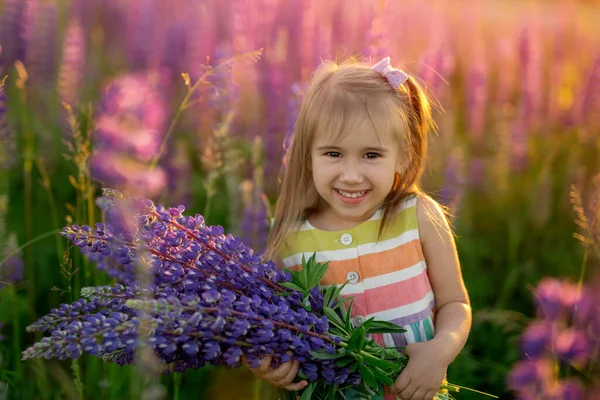 Uma Menina Alegre Pequena Bonito Com Buquê Tremoços Campo Flores — Fotografia de Stock