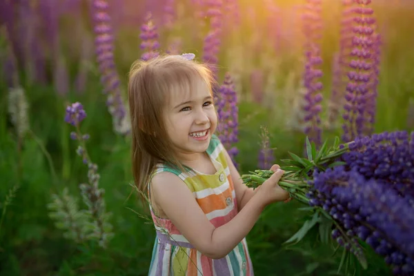 Una Hermosa Niña Ríe Agita Ramo Altramuces Campo Flores Atardecer —  Fotos de Stock