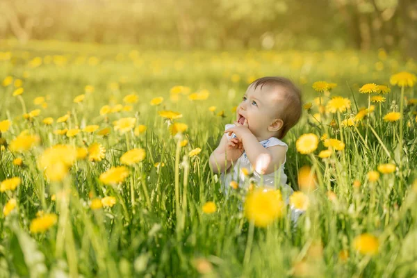 Ein Kleines Mädchen Sitzt Einem Feld Aus Gelben Löwenzahn Der — Stockfoto