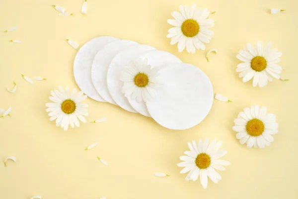 White chamomile and cotton pads on a yellow background with petals. Cosmetic cotton cotton pads for removing makeup. Chamomile-medicinal plant.