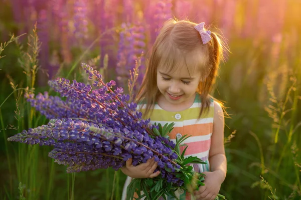 Мила Маленька Весела Дівчинка Букетом Люпинів Полі Фіолетових Квітів Заході — стокове фото