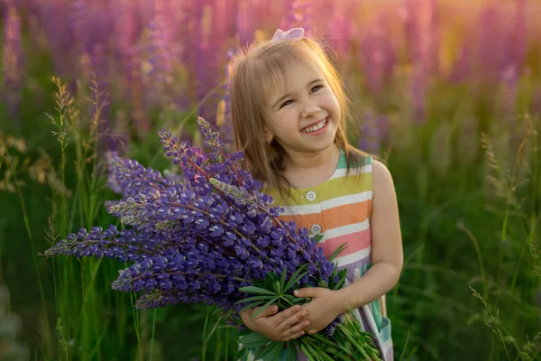 Una Linda Niña Con Ramo Altramuces Campo Flores Moradas Sonríe —  Fotos de Stock