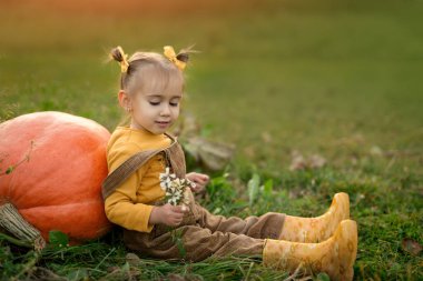 Plastik tulumlu bir kız sebze bahçesindeki çimlerin üzerinde oturuyor, büyük bir portakal kabağına yaslanıyor ve elinde bir buket yabani çiçek tutuyor. Sevimli küçük çocuk.