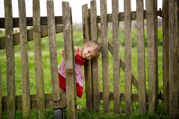 Malá Holčička Dívá Zpoza Starého Vesnického Plotu Branou Dvorku Dívka — Stock fotografie