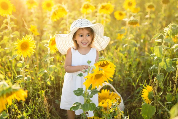 Смішна Маленька Мила Дівчинка Капелюсі Полі Соняшників Тримає Квітку Руках — стокове фото