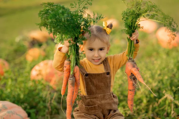 Seorang Anak Lucu Kebun Dapur Dengan Labu Memegang Sebuah Wortel — Stok Foto