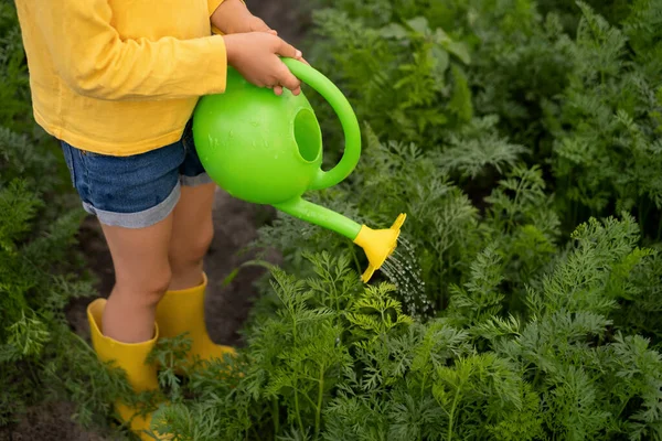 Niño Riega Zanahorias Jardín Con Una Pequeña Regadera Juguete Verde — Foto de Stock