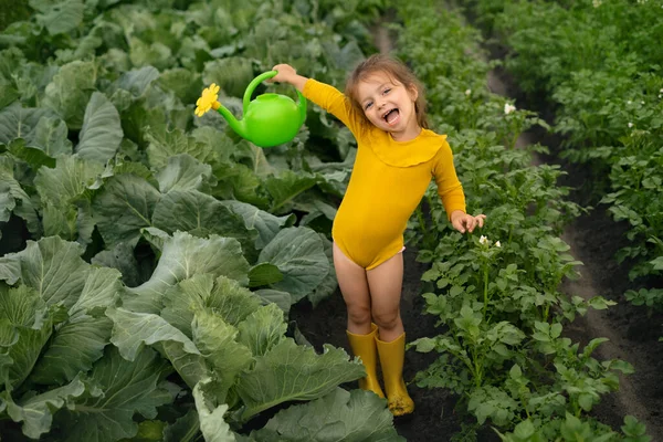 Счастливая Маленькая Девочка Машет Лейкой Банкой Водой Поливая Огород Овощами — стоковое фото