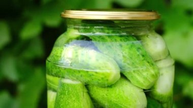 Doğal bir arka planda bir kutu konserve salatalık. Sebze turşusu. 