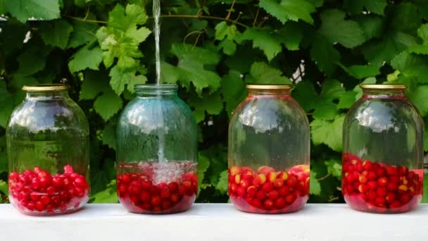 Zoete Kersen Compote Ingeblikt Een Glazen Pot Een Natuurlijke Groene — Stockvideo