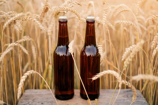 Twee Flessen Donker Bier Staan Een Veld Tussen Graangewassen Van — Stockfoto