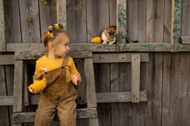 Mısırdan bir kulağı olan bir kız tahta bir merdiven üzerinde oturuyor ve üç kapılı küçük bir kedi yavrusunun merdivenlerden çıkışına bakıyor. Bir çocuk bir kediyi mısırla besler. Köyde hayat..