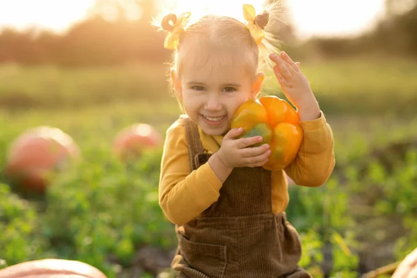 Una Niña Pequeña Está Sentada Una Calabaza Huerto Cocina Sosteniendo — Foto de Stock