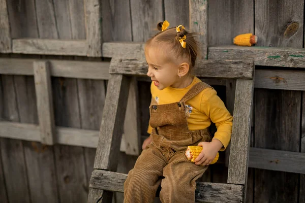 Uma Criança Com Uma Espiga Milho Nas Mãos Senta Uma — Fotografia de Stock