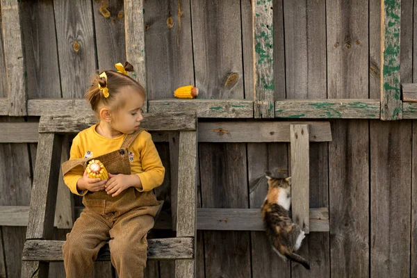 Дівчинка Сидить Дерев Яній Драбині Подвір Переляком Спостерігає Маленький Бездомний — стокове фото