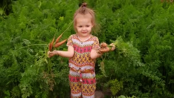 Mała Dziewczynka Stoi Ogrodzie Wśród Rosnących Zielonych Wierzchołków Marchewki Trzyma — Wideo stockowe