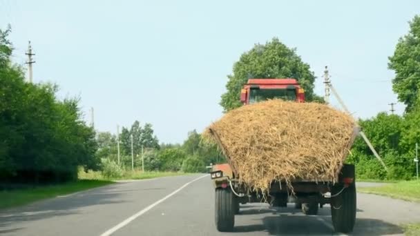 Old Tractor Trailer Carries Hay Animal Feed Asphalt Road Harvest — Stock Video