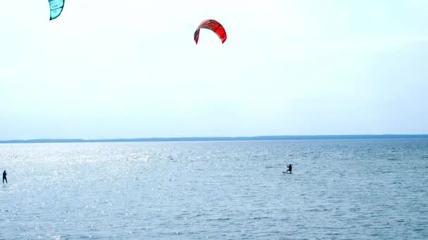 Myadel Biélorussie 2021 Kitesurfer Dissèque Surface Mer Par Jour Été — Video