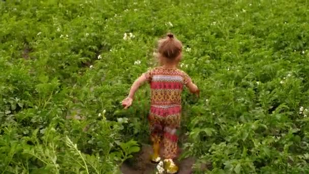 Ein Kind Gelben Gummistiefeln Geht Durch Reihen Blühender Kartoffeln Gemüsegarten — Stockvideo