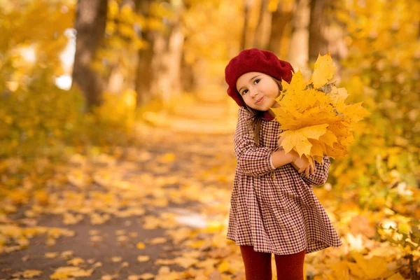 Een Schattig Klein Meisje Van Drie Met Een Boeket Esdoornbladeren — Stockfoto