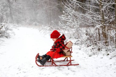 Kırmızı kareli ceketli ve örgü şapkalı küçük bir çocuk ormanda, kurdelelerle süslenmiş Noel hediyeleriyle dolu bir kızağın üzerinde oturuyor. Kız soğuk bir günde bayram için bir sürü hediye taşıyor.