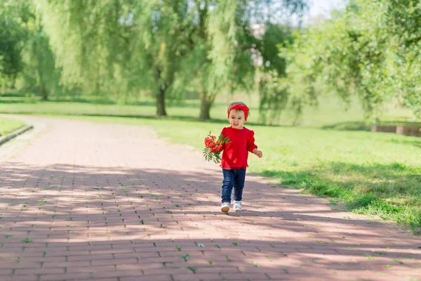 Egy Vicces Kis Kétéves Lány Rohangál Parkban Egy Csokor Hegyi — Stock Fotó