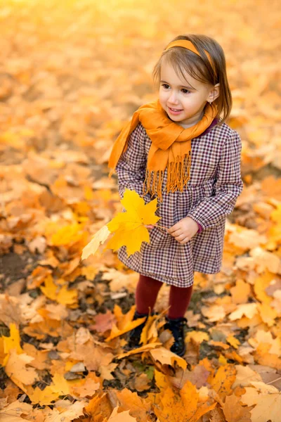 Roztomilá Dvouletá Holčička Podzimním Javorovým Listem Rukou Dítě Oranžovou Šálou — Stock fotografie