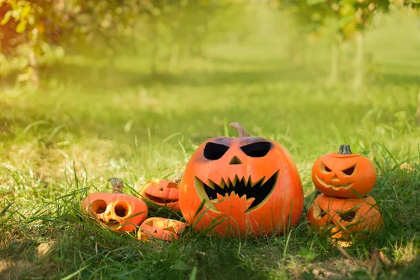 Několik Dýní Různých Velikostí Různými Emocemi Vyřezanými Trávníku Předvečer Halloweenských — Stock fotografie