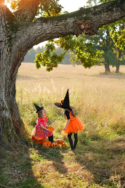 할로윈 의상을 아이들은 아래서서 분홍색 주황색 드레스를 여학생 준비를 있습니다 — 스톡 사진
