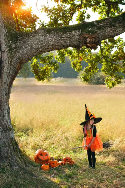 Een Vijfjarig Meisje Een Heksenkostuum Een Bezemsteel Kijkt Weg Stam — Stockfoto