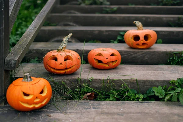 Cuatro Calabazas Vacías Con Caras Sonrientes Enojadas Talladas Están Pie —  Fotos de Stock