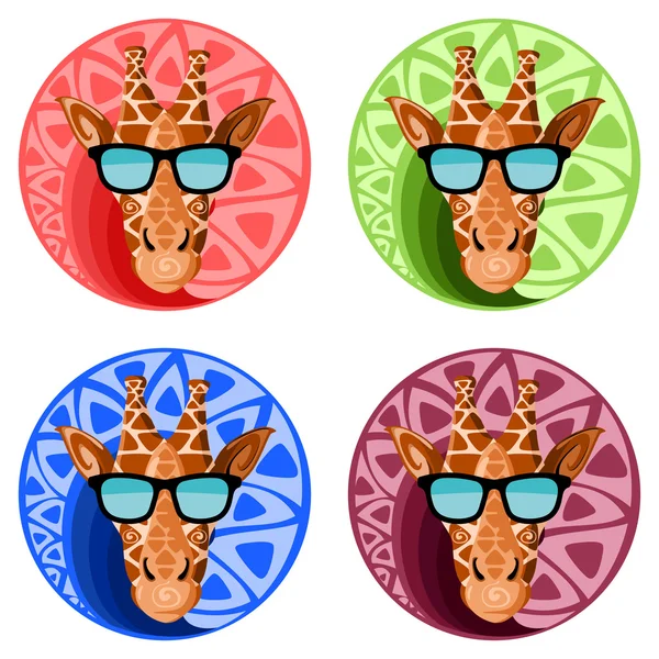 Girafas cabeças com óculos de sol sobre fundo de cor . — Vetor de Stock