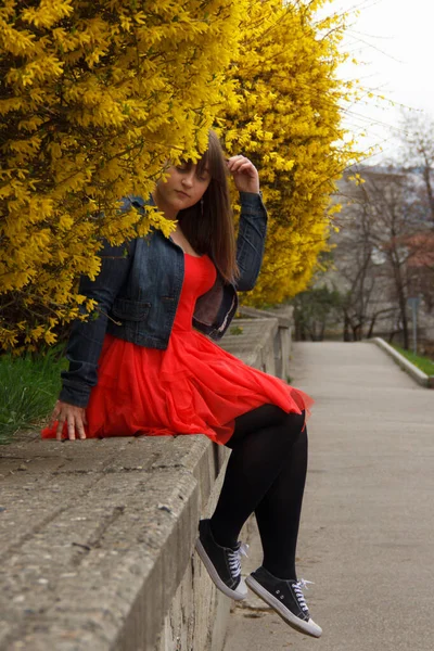 Kurviges Mädchen Roten Kleid Sitzt Auf Der Brüstung — Stockfoto
