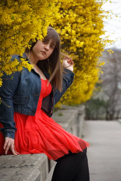 Menina Curvilínea Vestido Vermelho Senta Parapeito — Fotografia de Stock