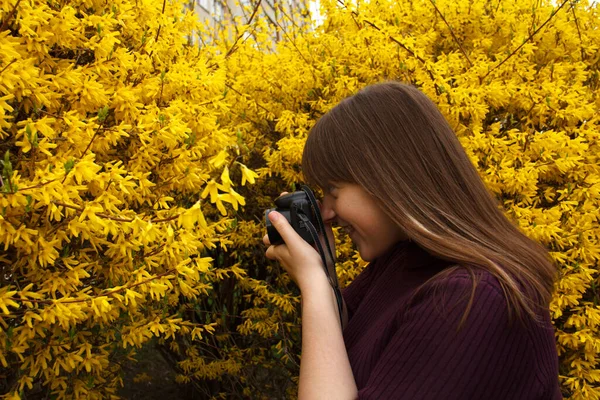 Uma Menina Fotografando Arbustos Amarelos — Fotografia de Stock