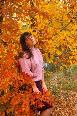 Sarı yapraklarla bir ağacın altında oturan bir kız