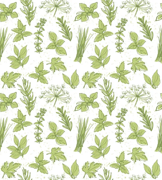 Fresh herbs pattern — Stock Vector