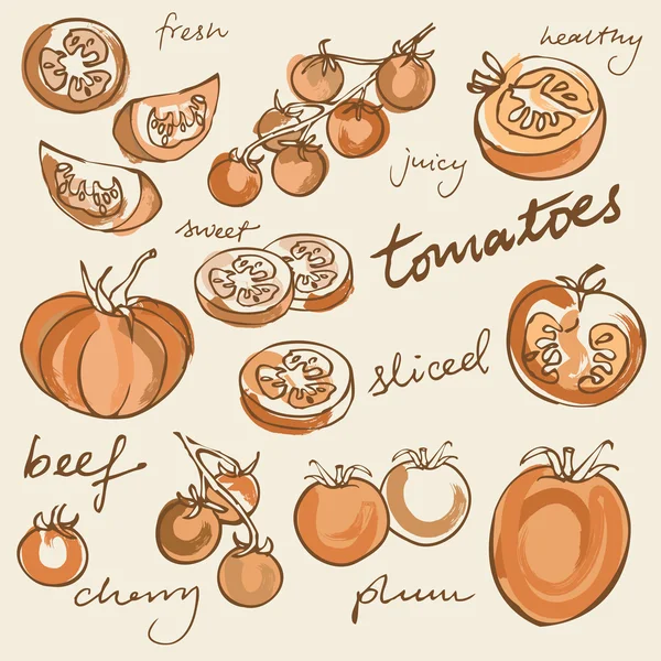 Varios tipos de tomates — Vector de stock