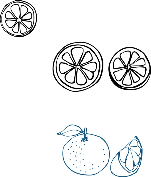 Naranjas enteras, en rodajas, segmentadas — Vector de stock