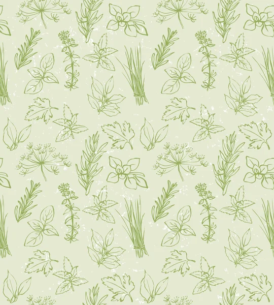 Fresh herbs pattern Stock Vector