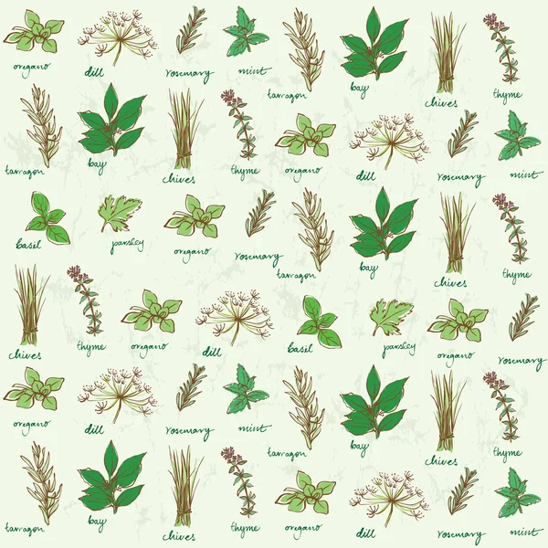 Motif d'herbes fraîches Illustrations De Stock Libres De Droits