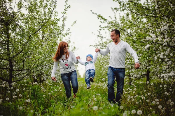 Baba, anne ve küçük oğlu dışarıda birlikte eğleniyorlar. Baharda aile yürüyüşü çiçek açan bahçe, park.