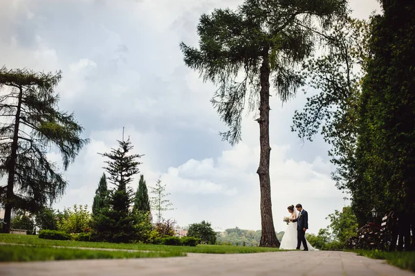 Takım Elbiseli Damat Gelinlikli Gelin Parkta Yürüyorlar Parkta Yürüyen Genç — Stok fotoğraf